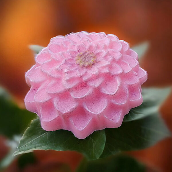 Jabón Flor Dahlia - Image 3